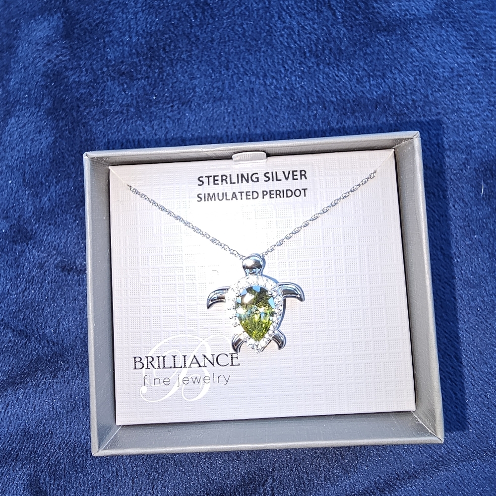 Sterling SILVER Turtle Necklace